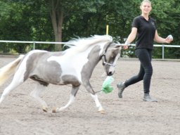 IMG_1148_web